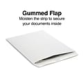 Quill Brand® Gummed Catalog Envelope, 9 x 12, White, 250/Box (OE91224W)