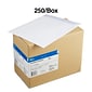 Quill Brand® Easy Close Catalog Envelope, 10" x 13", White, 250/Box (PS101328W)