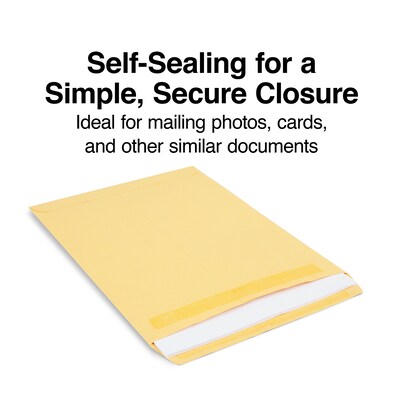 Staples® Kraft Self-Sealing Catalog Envelopes; 9" x 12", Brown, 250/Box (486931/14245)