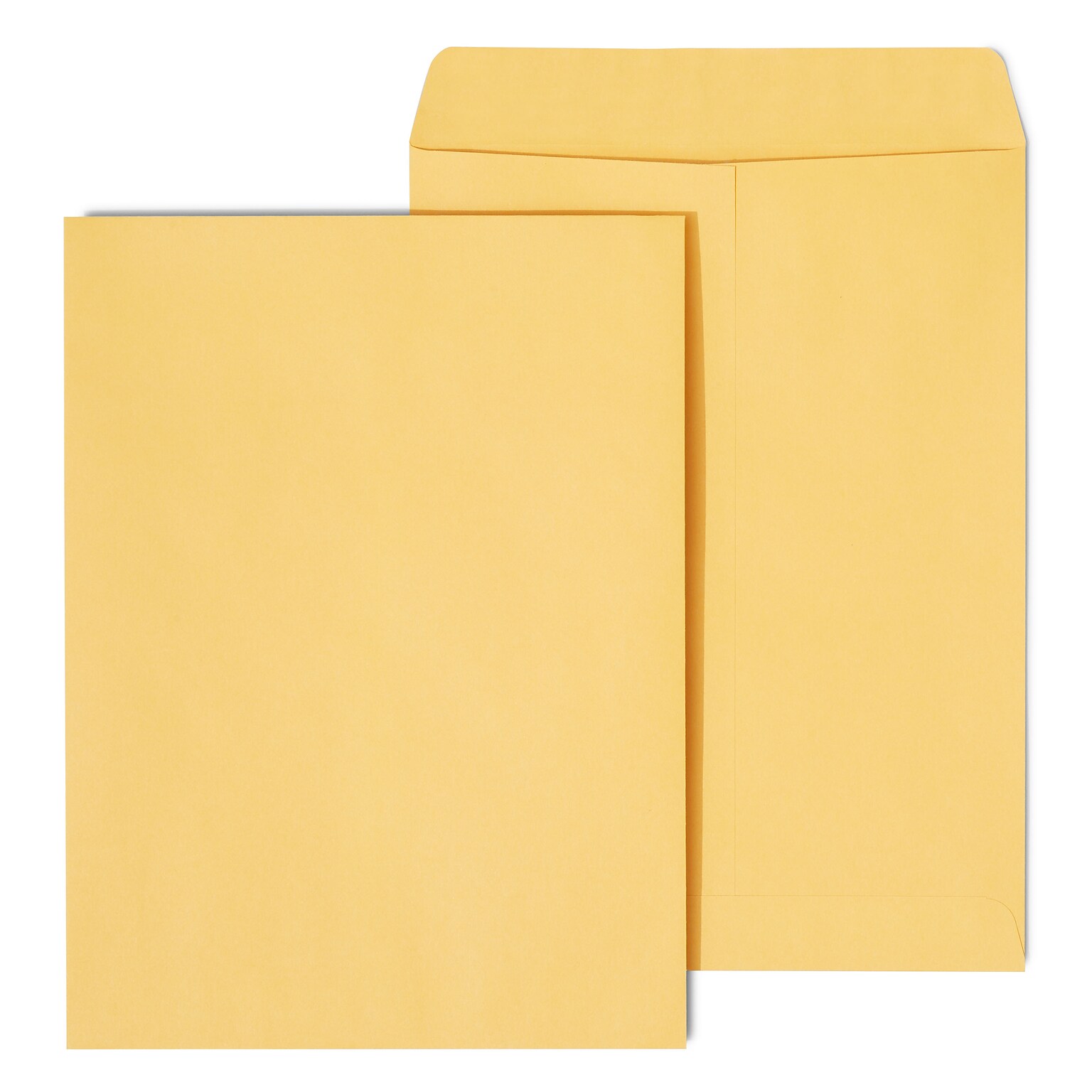 Staples Gummed Kraft Catalog Envelopes, 9L x 12H, Brown, 250/Box (486940/17032)