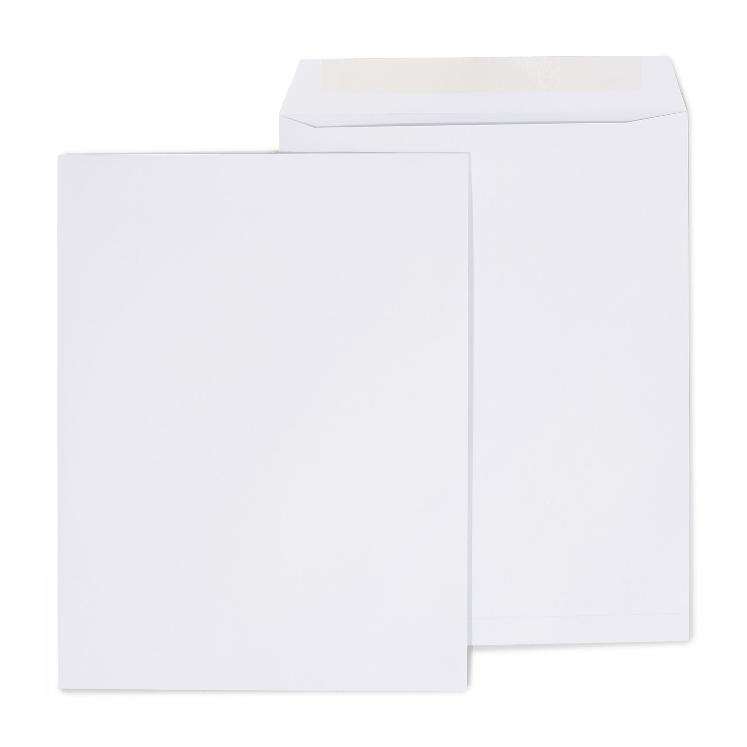 Gummed Catalog Envelopes, 10L x 13H, White, 250/Box (486954/17040)