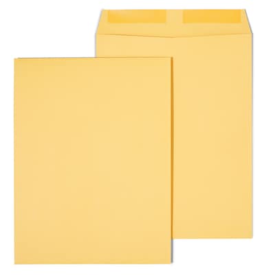 Staples Gummed Catalog Envelopes, 9.5"L x 12.5"H, Brown, 100/Box (SPL534743)