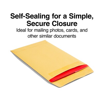 Staples Self-Sealing Kraft Catalog Envelopes, 6" x 9", Brown, 100/Box (381964/17061)