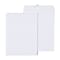 Quill Brand® Easy Close Catalog Envelope, 9 x 12, White, 250/Box (PS91228W)