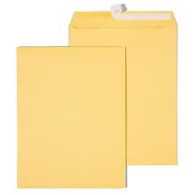 Quill Brand® Easy Close Catalog Envelope, 10 x 13, Brown Kraft, 250/Box (PS101328B)