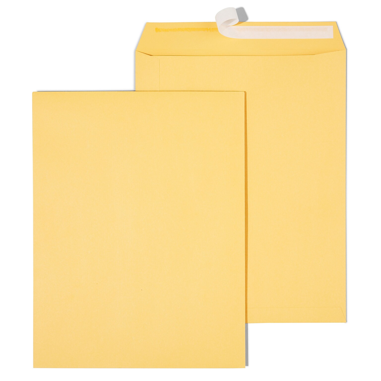 Quill Brand® 250/Box Easy Close Catalog Envelope, 10 x 13, Brown Kraft (PS101328B)