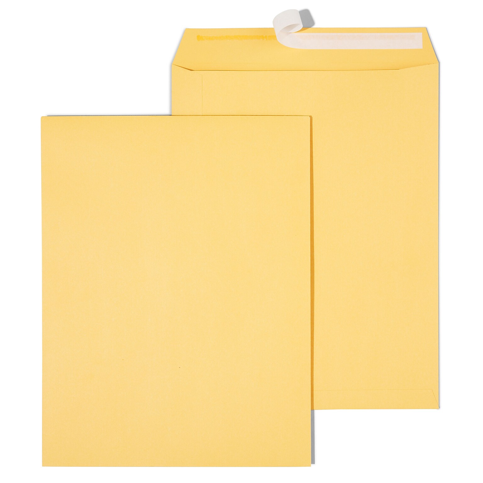 Quill Brand® Easy Close Catalog Envelope, 10 x 13, Brown Kraft, 250/Box (PS101328B)