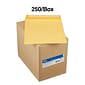 Quill Brand® Easy Close Catalog Envelope, 9" x 12",Brown Kraft, 250/Box (PS91228B)