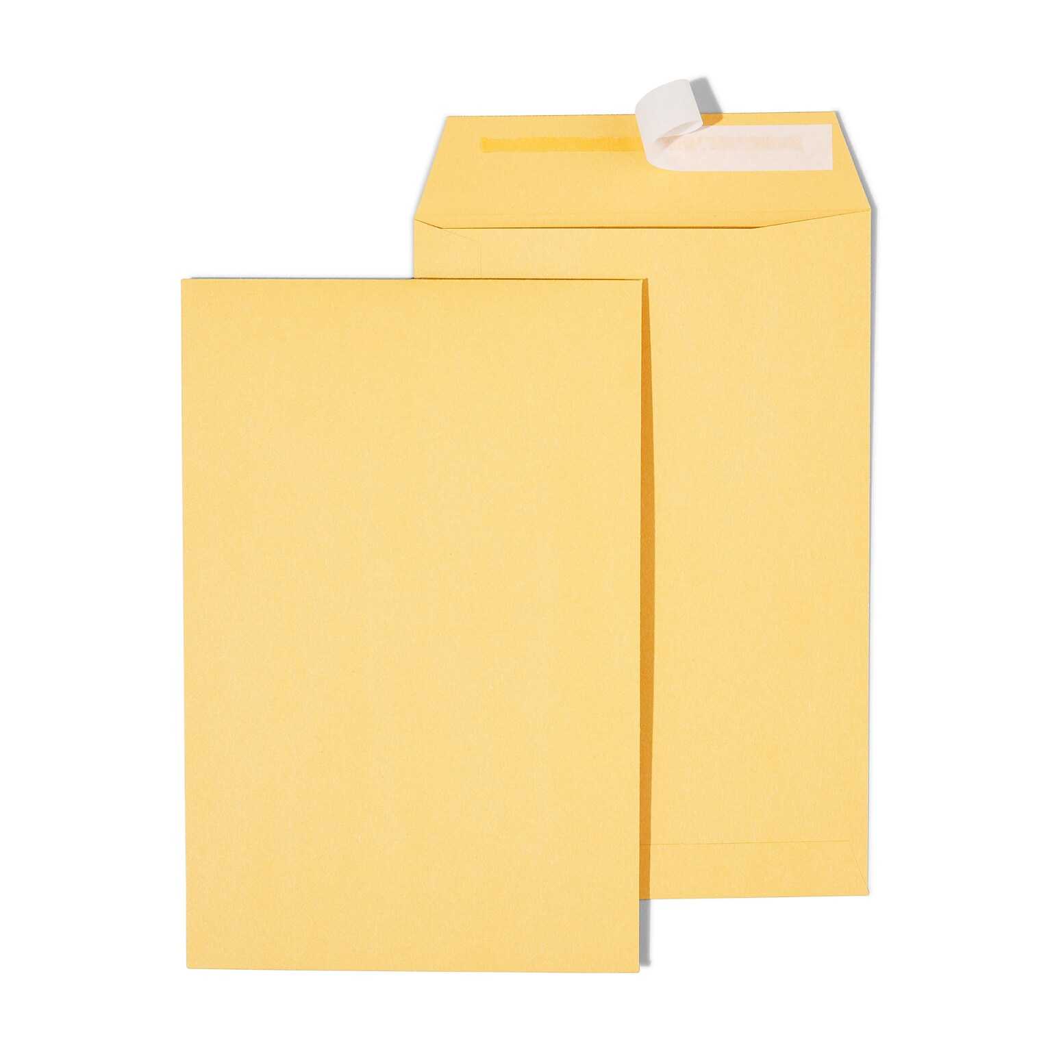 Staples QuickStrip EasyClose Kraft Self Seal #1 Catalog Envelopes, 6 x 9, Kraft, 100/Box (ST20140/20140)