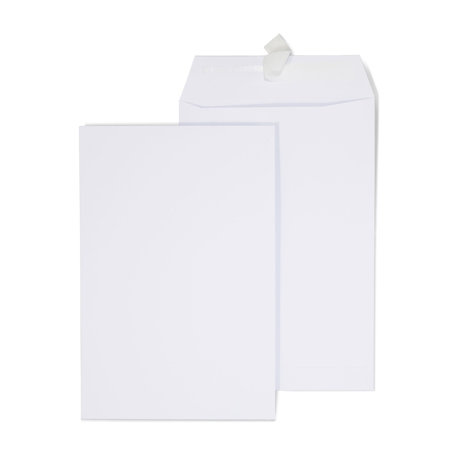 Quill Brand® Easy Close Catalog Envelope, 6 x 9, White, 500/Box (PS6928W)