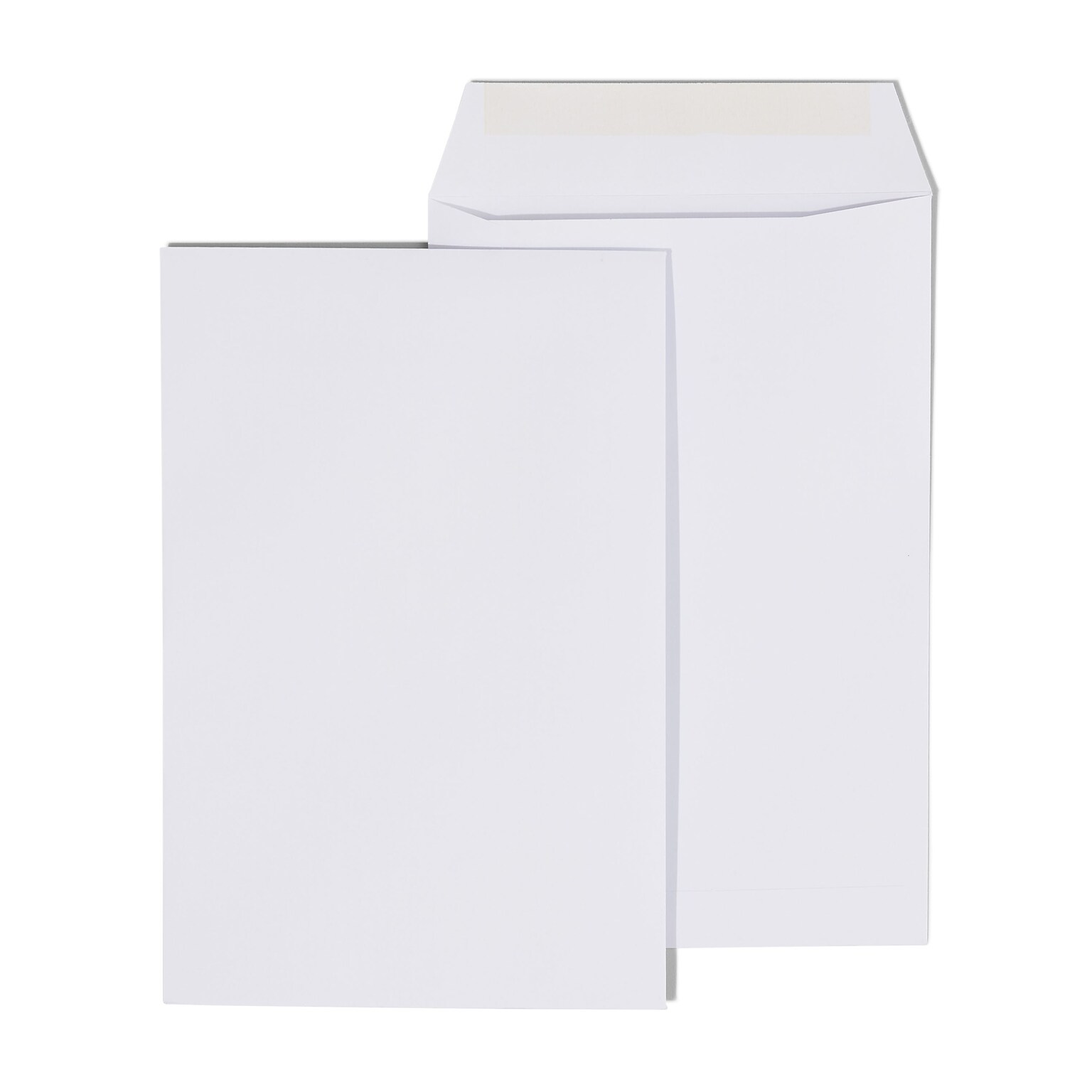 Staples Economy Gummed Catalog Envelopes, 6 x 9, White, 250/Box (50303T)