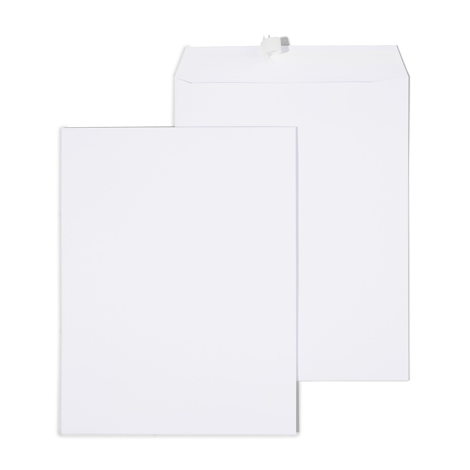 Quill Brand® Easy Close Catalog Envelope, 10 x 13, White, 250/Box (PS101328W)