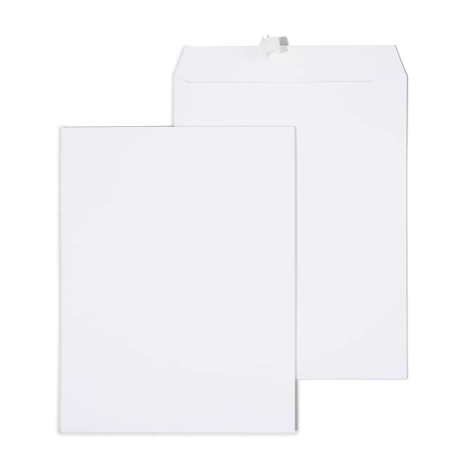 Quill Brand® Easy Close Catalog Envelope, 10 x 13, White, 250/Box (PS101328W)