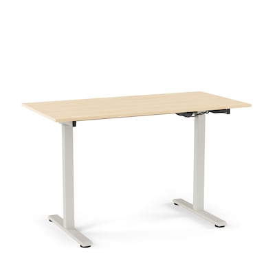 Union & Scale™ Essentials 48W Electric Rectangular Adjustable Standing Desk, Natural (UN60415-CC)