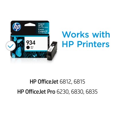 HP 934 Black Standard Yield Ink Cartridge (C2P19AN#140)