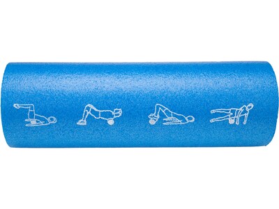 Mind Reader Blue Roller, 17.75 (FOAMINS18-BLU)