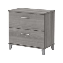 Bush Furniture Somerset 2-Drawer Lateral File Cabinet, Letter/Legal, Platinum Gray, 30 (WC81280)