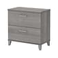 Bush Furniture Somerset 2-Drawer Lateral File Cabinet, Letter/Legal, Platinum Gray, 30" (WC81280)