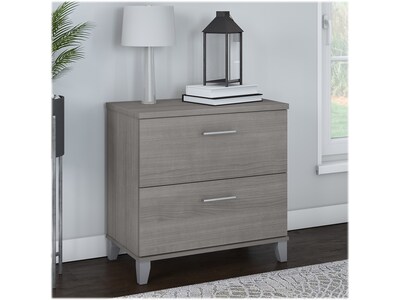 Bush Furniture Somerset 2-Drawer Lateral File Cabinet, Letter/Legal, Platinum Gray, 30 (WC81280)