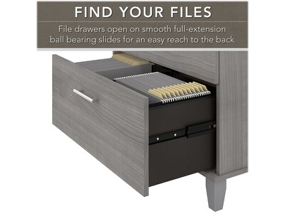 Bush Furniture Somerset 2-Drawer Lateral File Cabinet, Letter/Legal, Platinum Gray, 30" (WC81280)