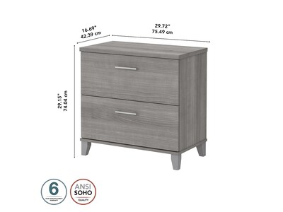 Bush Furniture Somerset 2-Drawer Lateral File Cabinet, Letter/Legal, Platinum Gray, 30" (WC81280)