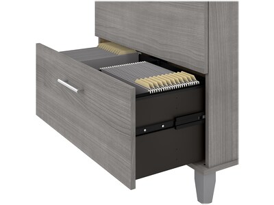 Bush Furniture Somerset 2-Drawer Lateral File Cabinet, Letter/Legal, Platinum Gray, 30" (WC81280)