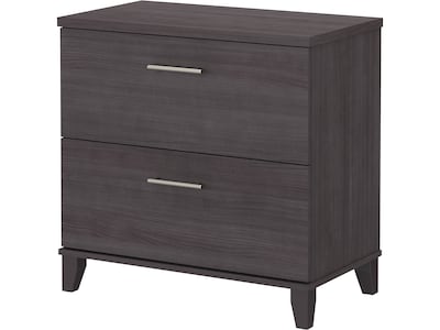 Bush Furniture Somerset 2-Drawer Lateral File Cabinet, 29 x 30, Letter/Legal, Storm Gray (WC81580)