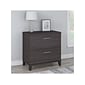 Bush Furniture Somerset 2-Drawer Lateral File Cabinet, 29" x 30", Letter/Legal, Storm Gray (WC81580)