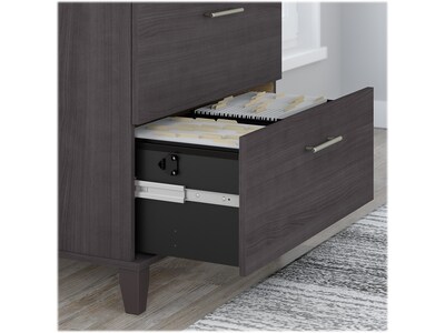 Bush Furniture Somerset 2-Drawer Lateral File Cabinet, 29" x 30", Letter/Legal, Storm Gray (WC81580)