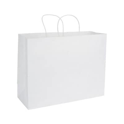 Bags & Bows 12 1/2H x 16W x 6D Kraft Paper Shopping Bags, White, 250/Carton (29-9M)