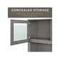 Bush Furniture Somerset 72"W Office Desk with Hutch and 5 Shelf Bookcase, Platinum Gray (SET020PG)