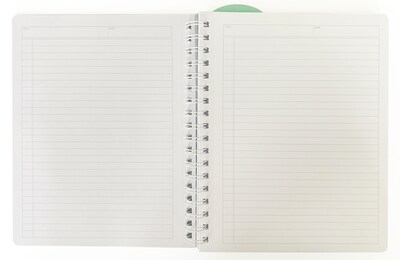 Carolina Pad Noted Premium Executive Notebook, 7.38" x 9.5", Lined, 100 Sheets, Assorted Colors (13008)