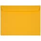 JAM Paper® 9 x 12 Booklet Envelopes, Sunflower Yellow, 25/Pack (372317017)