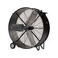 TPI Corporation Portable Direct Drive 30 2-Speed Floor Fan, Black (08753502)