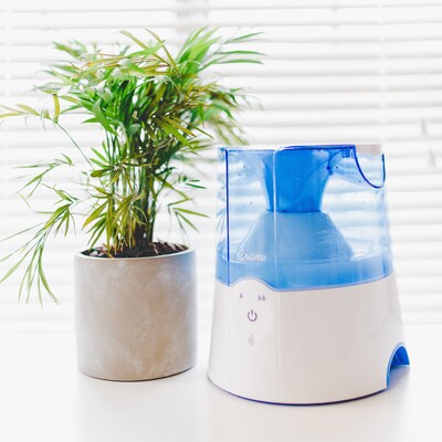 Crane Warm Mist Tabletop Humidifier, 0.5-Gallon, For Rooms 250 sq. ft., Blue/White (EE-5202H)