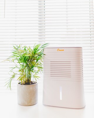 Crane 1.27-Pint Portable Dehumidifier, 2-Speed, Covers up to 300 sq. ft., White (EE-1000)