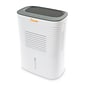 Crane 1.27-Pint Portable Dehumidifier, 2-Speed, Covers up to 300 sq. ft., White (EE-1000)