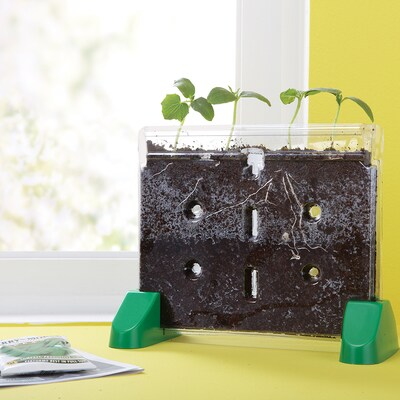 Sprout & Grow Window