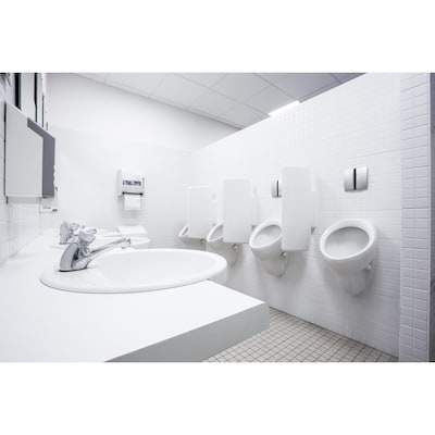 Clorox Commercial Solutions Urine Remover for Stains and Odors, 32 Ounce Spray Bottle (31036)