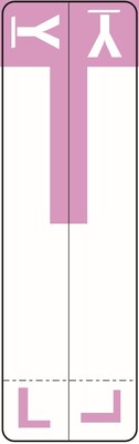 Medical Arts Press L and Y Name Labels, Smead Alpha-Z Compatible, Lavender, 125/Pack (32211)