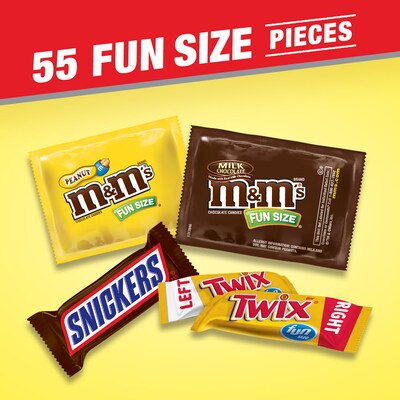 MARS Chocolate Favorites Fun Size Candy Bars 55-Piece Bag, 31.18 oz., Variety Mix (225-00033)