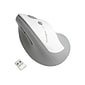 Kensington Pro Fit Ergo Wireless Optical USB Mouse, Gray (K75520WW)