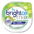Bright Air Max Odor Eliminator Air Freshener, Meadow Breeze, 8 oz