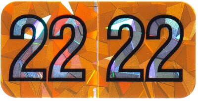 Medical Arts Press Holographic End-Tab Year Labels, 2022, Orange, 500/Roll (0722HOR)