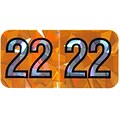 Medical Arts Press Holographic End-Tab Year Labels, 2022, Orange, 500/Roll (0722HOR)