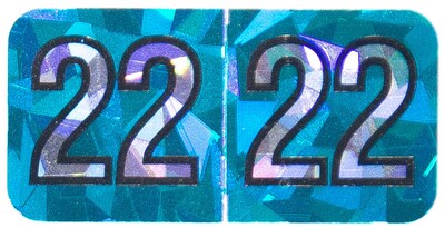 Medical Arts Press Holographic End-Tab Year Labels, 2022, Aqua, 500/Roll (0722HAQ)