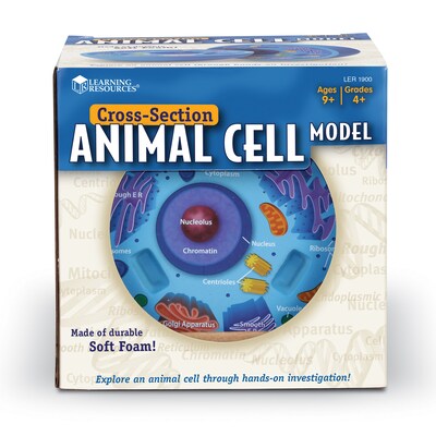 Learning Resources Cross Section Models, Animal (LER1900)