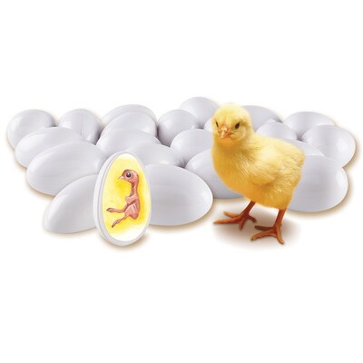 Learning Resources Chick Life Cycle Exploration Set (LER2733)