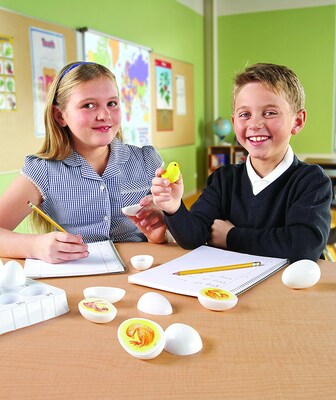 Learning Resources Chick Life Cycle Exploration Set (LER2733)