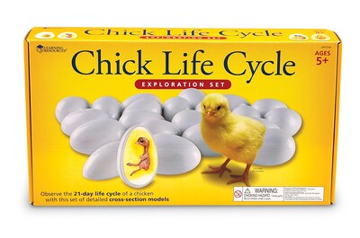 Learning Resources Chick Life Cycle Exploration Set (LER2733)